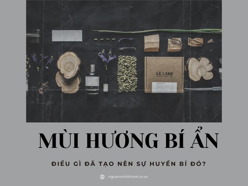 Mùi hương bí ẩn