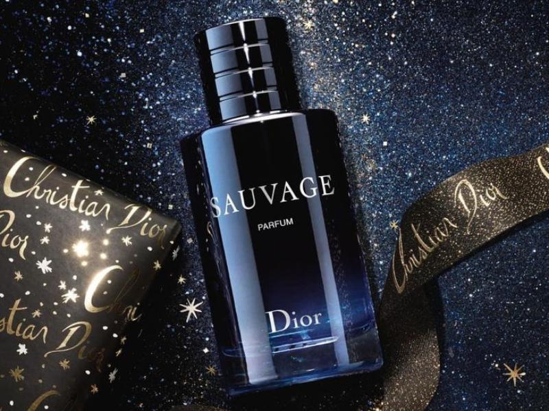 Các tầng hương cuốn hút của Dior Sauvage Parfum 10ml 