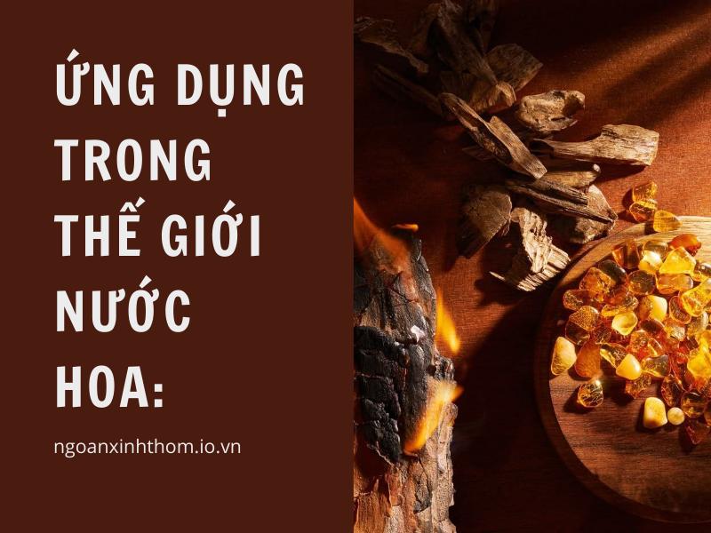 Ứng dụng trong thế giới nước hoa