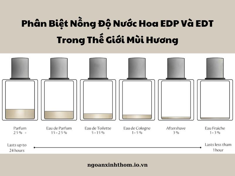 Nước Hoa EDP Là Gì? Hiểu rõ về nồng độ và thành phần