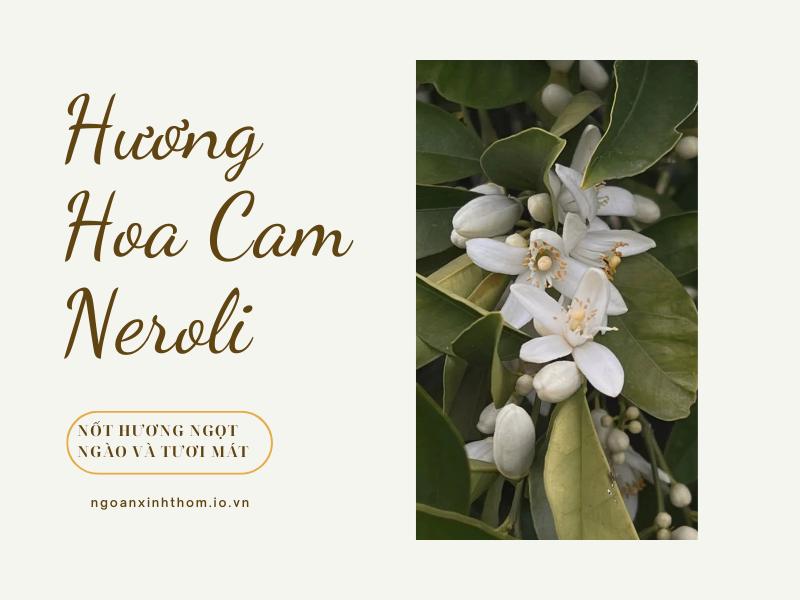 ảnh đại diện - Hương Hoa Cam Neroli