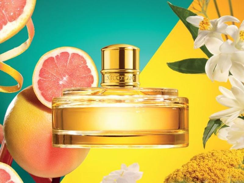 Nguyên liệu chính của hương thơm đặc trưng nước hoa L'Occitane