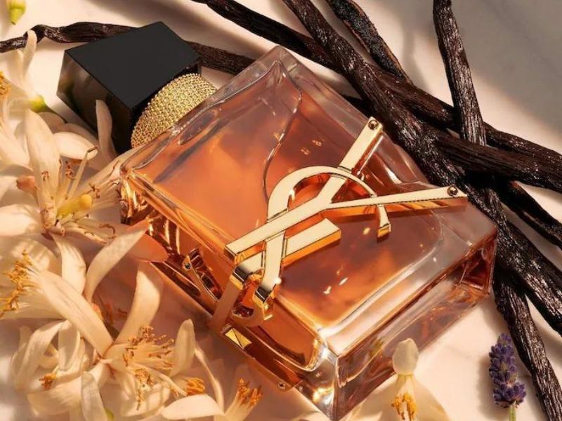 Yves Saint Laurent Libre Intense: Sự Tự Do Và Quyến Rũ